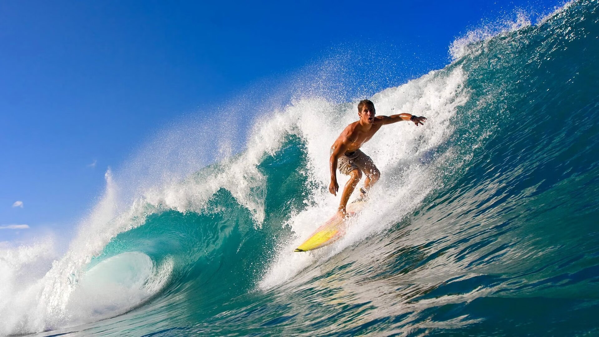 公牛团队失误不断主场输球，公牛队进场